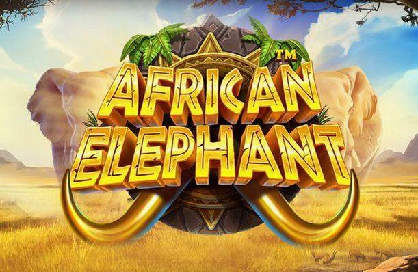 African Elephant von Pragmatic Play